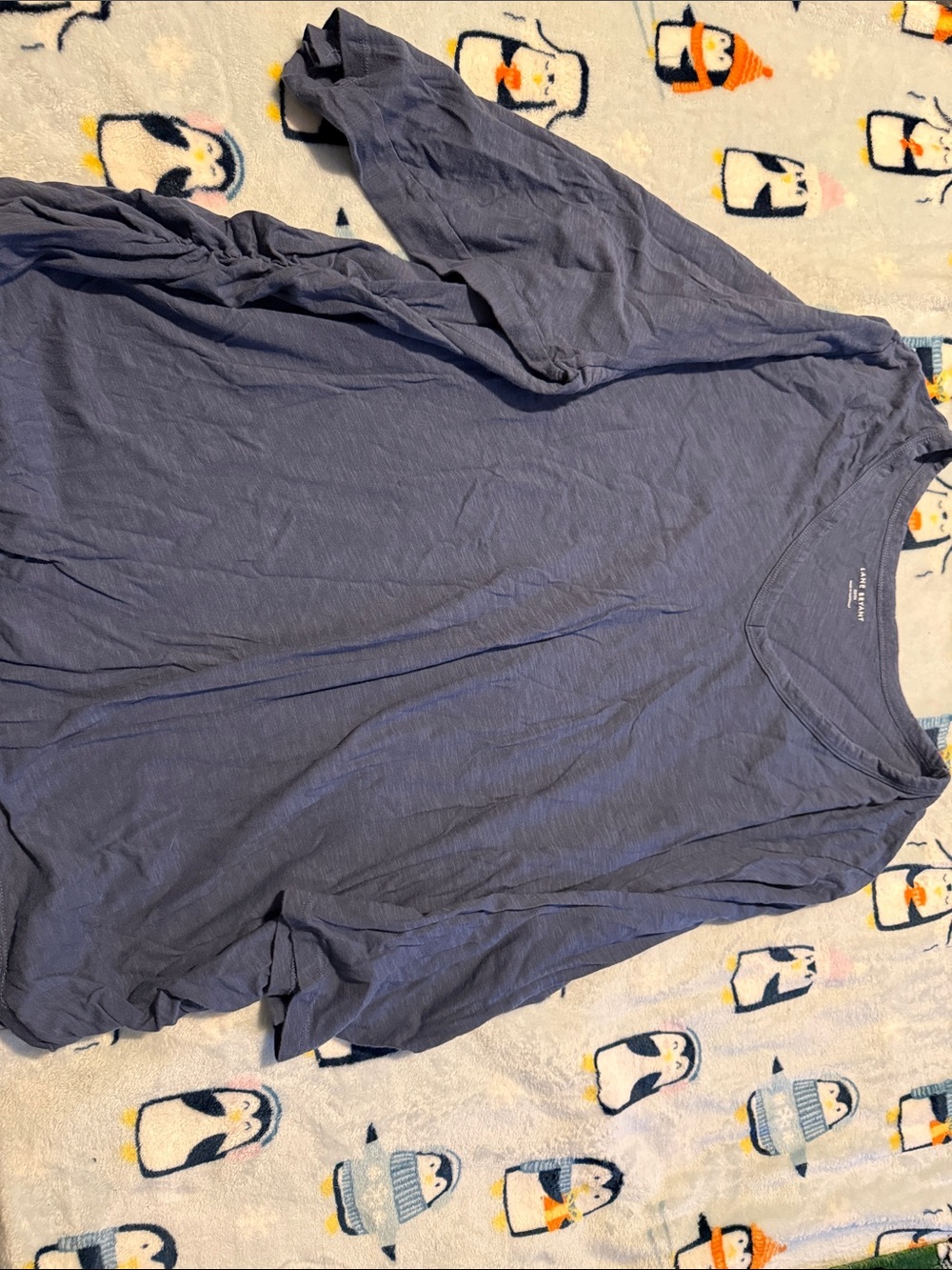Lane Bryant Long Sleeve V-Neck Tee in Slate Blue